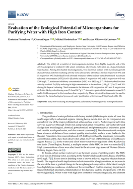 Evaluation of the Ecological Potential of Microorganisms for Purifying Water with High Iron Content