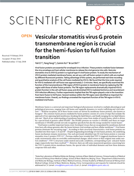 Vesicular Stomatitis Virus G Protein Transmembrane Region Is Crucial For
