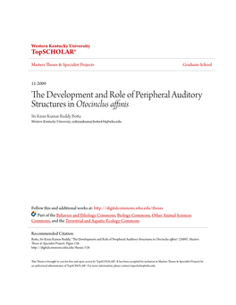 The Development and Role of Peripheral Auditory