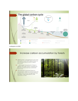 Carbon Testimony Figures