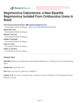 Begomovirus Caboniensis: a New Bipartite Begomovirus Isolated from Cnidoscolus Urens in Brazil