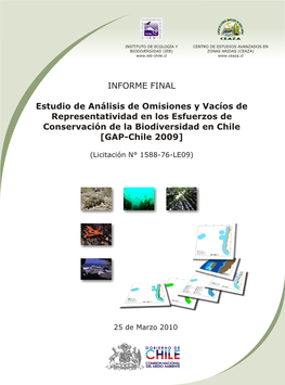 082.Informe Final GAP-Chile 2010-03-25.Pdf