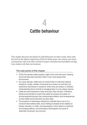 Cattle Behaviour