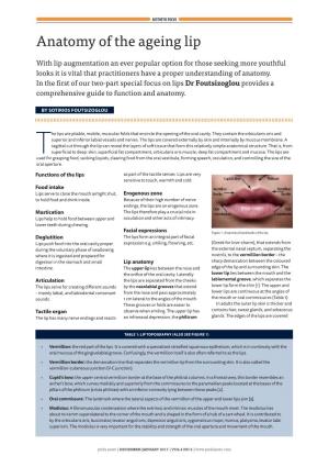 Anatomy of the Ageing Lip