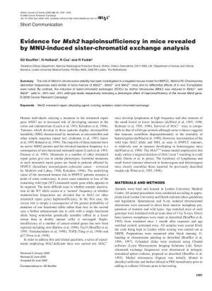 Evidence for Msh2haploinsufficiency in Mice Revealed by MNU