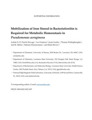 Mobilization of Iron Stored in Bacterioferritin Is Required for Metabolic Homeostasis in Pseudomonas Aeruginosa