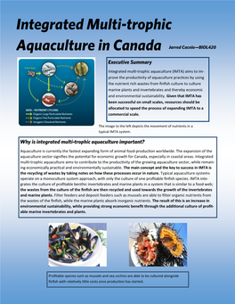 Integrated Multi-Trophic Aquaculture