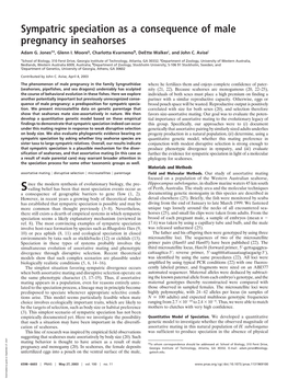 Sympatric Speciation As a Consequence of Male Pregnancy in Seahorses