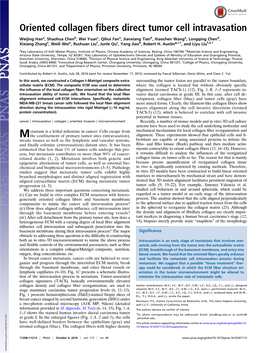 Oriented Collagen Fibers Direct Tumor Cell Intravasation