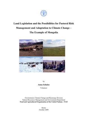 Land Legislation and the Possibilities for Pastoral Risk Management and Adaptation to Climate Change – the Example of Mongolia