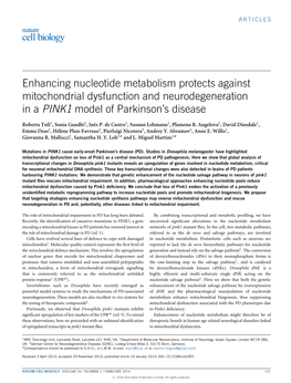 Enhancing Nucleotide Metabolism Protects Against Mitochondrial Dysfunction and Neurodegeneration in a PINK1 Model of Parkinson’S Disease