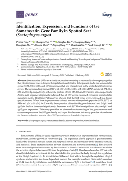 Identification, Expression, and Functions of the Somatostatin Gene