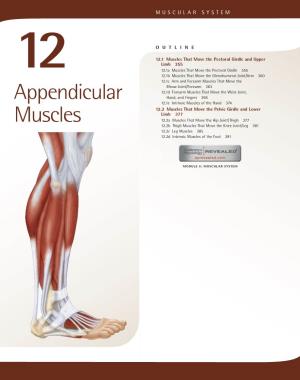 Appendicular Muscles 355
