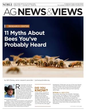 11 Myths About Bees You've Probably Heard