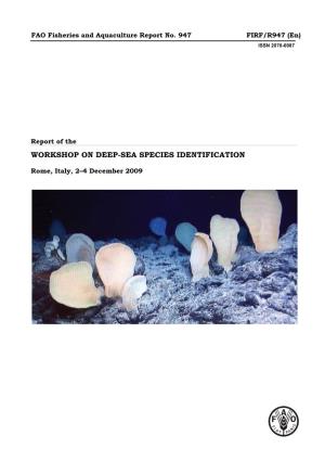 Report of the Workshop on Deep-Sea Species Identification, Rome, 2–4 December 2009