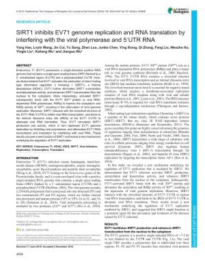 SIRT1 Inhibits EV71 Genome Replication and RNA Translation By