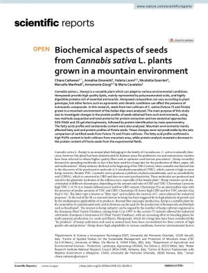 Biochemical Aspects of Seeds from Cannabis Sativa L. Plants Grown In