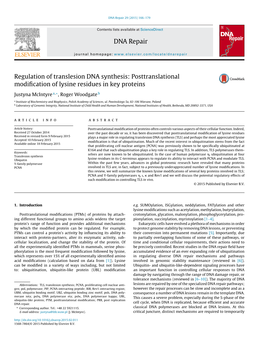 Regulation of Translesion DNA Synthesis: Posttranslational