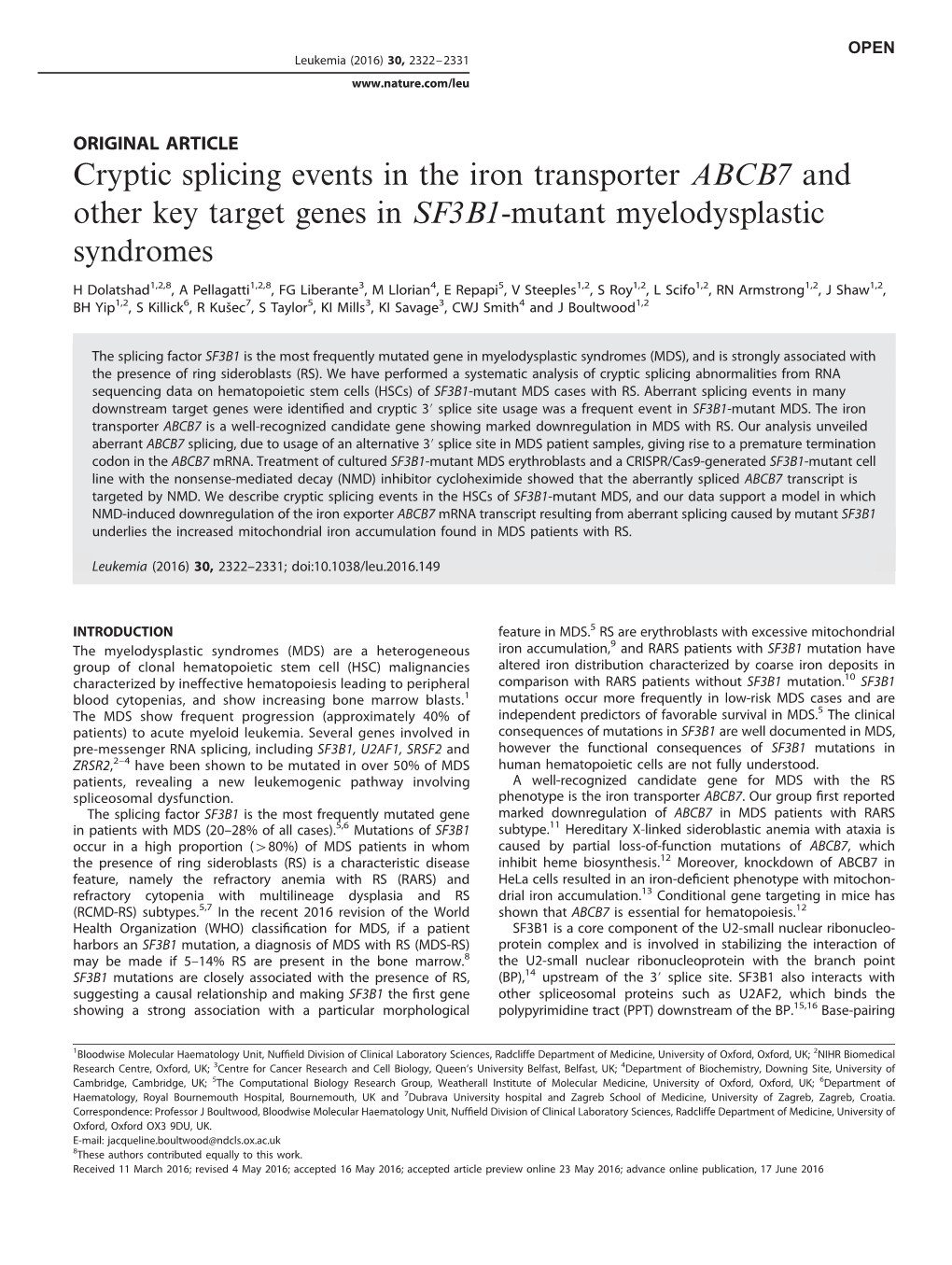 Cryptic Splicing Events in the Iron Transporter ABCB7 and Other Key Target Genes in SF3B1-Mutant Myelodysplastic Syndromes