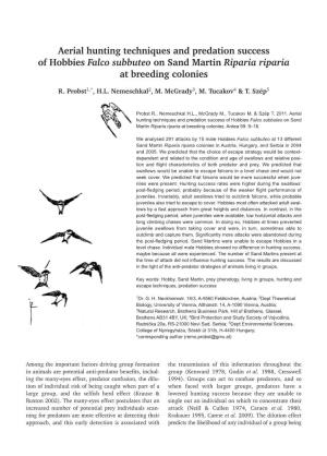 Aerial Hunting Techniques and Predation Success of Hobbies Falco Subbuteo on Sand Martin Riparia Riparia at Breeding Colonies