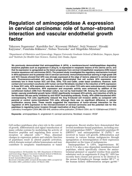 Regulation of Aminopeptidase a Expression in Cervical Carcinoma: Role of Tumor–Stromal Interaction and Vascular Endothelial Growth Factor