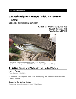 Chanodichthys Recurviceps (A Fish, No Common Name) Ecological Risk Screening Summary