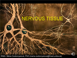 Nervous Tissue