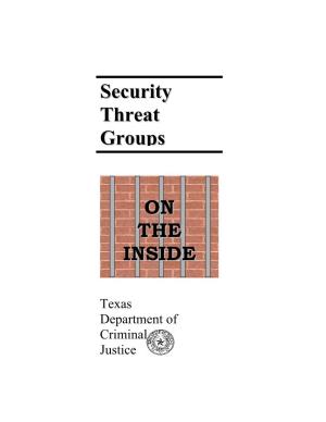 Security Threat Groups "On the Inside"