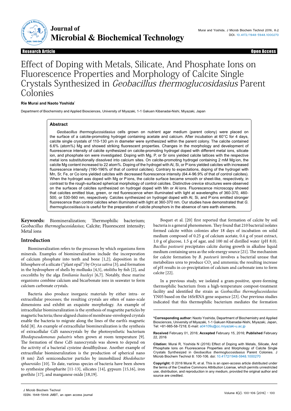 Effect of Doping with Metals, Silicate, and Phosphate Ions On