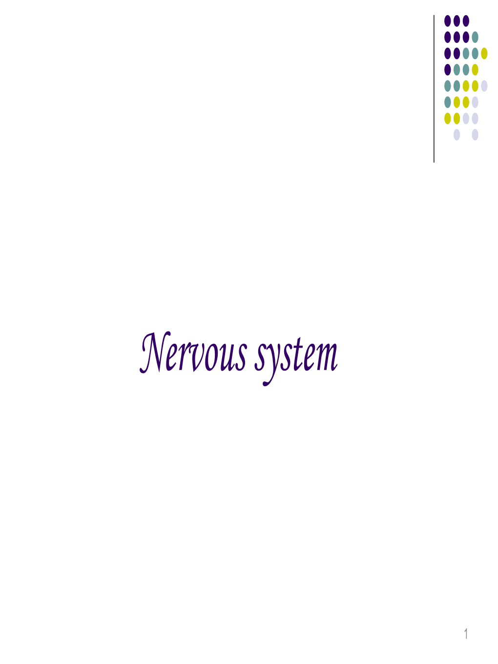 Nervous System