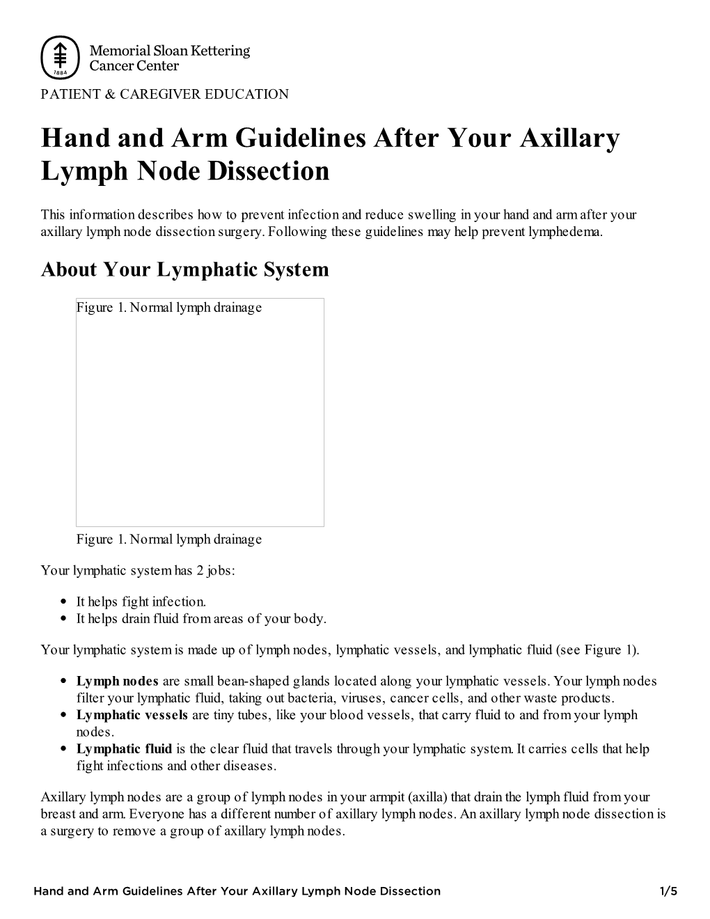 Hand and Arm Guidelines After Your Axillary Lymph Node Dissection