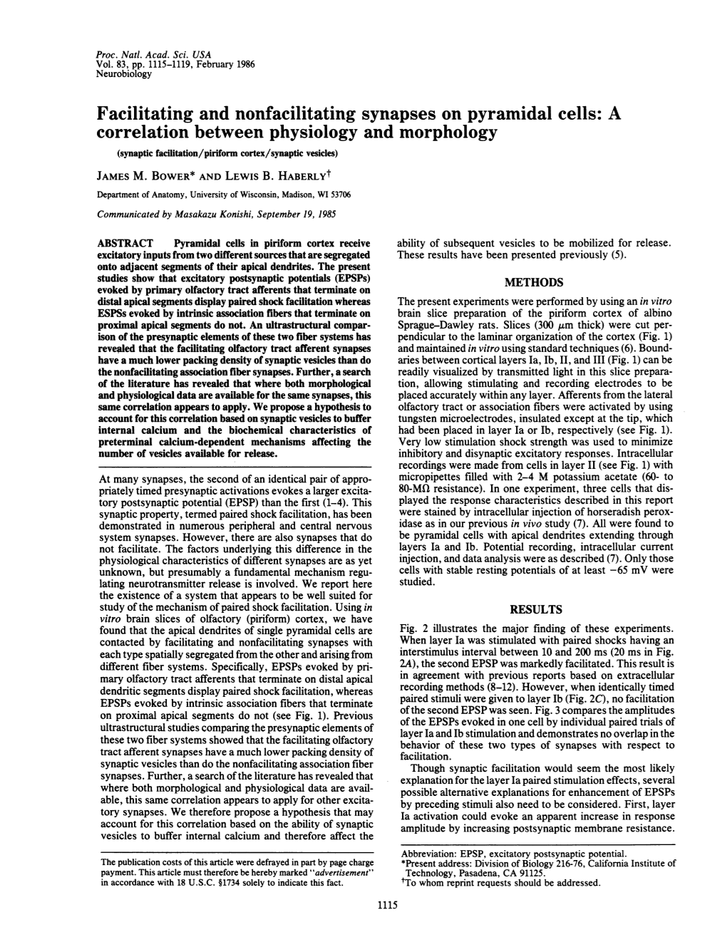 Facilitating and Nonfacilitating Synapses on Pyramidal Cells