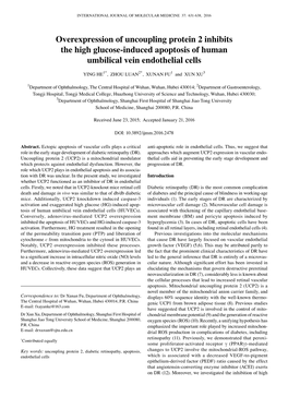 Overexpression of Uncoupling Protein 2 Inhibits the High Glucose-Induced Apoptosis of Human Umbilical Vein Endothelial Cells