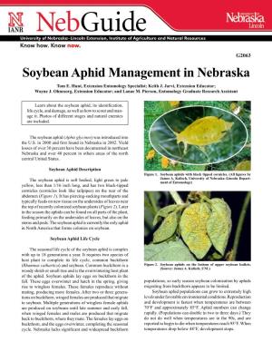 Soybean Aphid Management in Nebraska Tom E