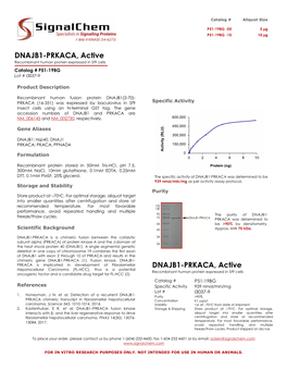 DNAJB1-PRKACA, Active Recombinant Human Protein Expressed in Sf9 Cells