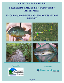 Piscataquog River Target Fish Community Report.Pdf