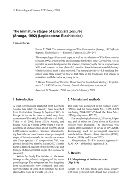 The Immature Stages of Elachista Zonulae (Sruoga, 1992) (Lepidoptera: Elachistidae)