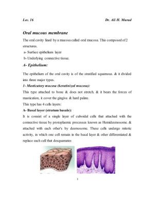 Oral Mucous Membrane the Oral Cavity Lined by a Mucosa Called Oral Mucosa