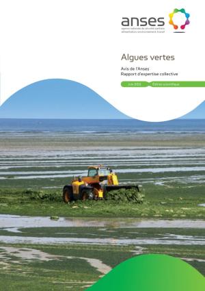 Algues Vertes Avis De L’Anses Rapport D’Expertise Collective