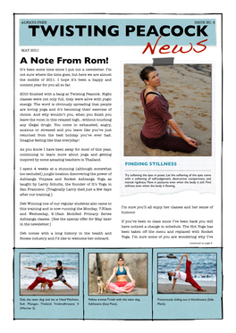Newsletter Apr:May 2011. Issue 6
