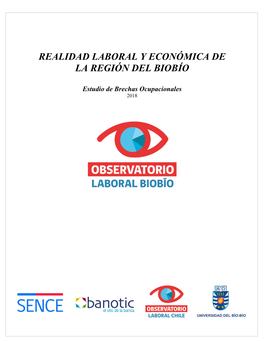 Realidad Laboral Y Económica De La Región Del Biobío