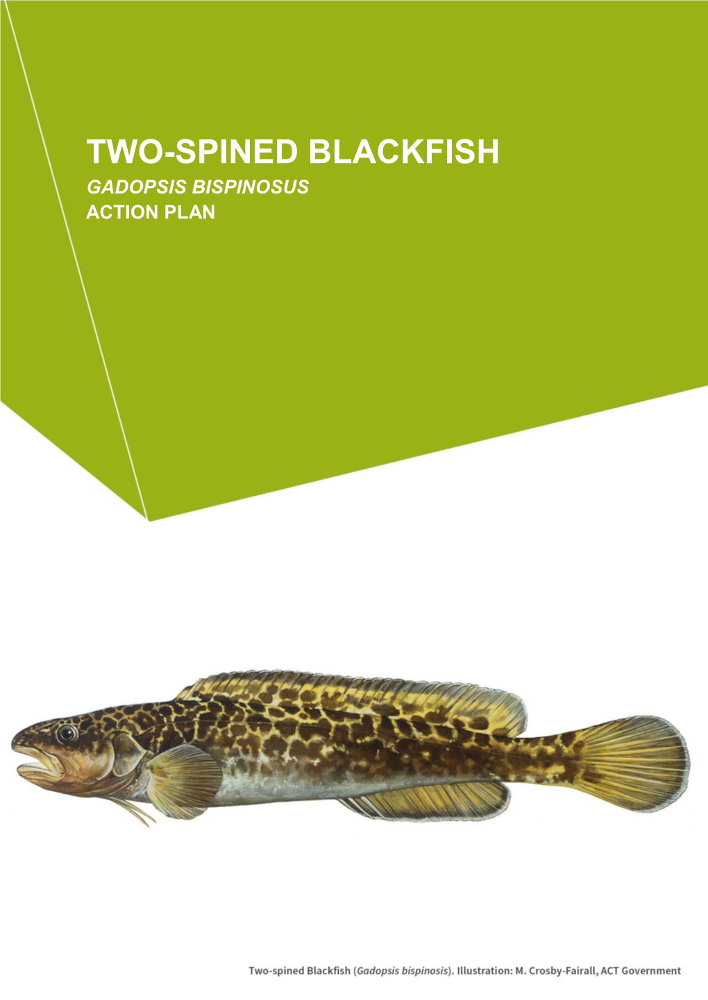 Two-Spined Blackfish Gadopsis Bispinosus Action Plan