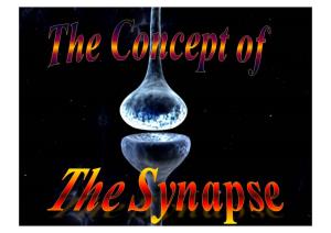 2 Lez Concept of Synapses