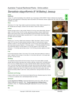 Sersalisia Obpyriformis (F.M.Bailey) Jessup Family: Sapotaceae Jessup, L.W