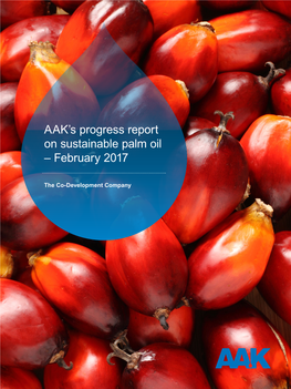 AAK's Progress Report on Sustainable Palm Oil – February 2017