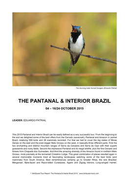 The Pantanal & Interior Brazil