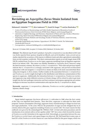 Revisiting an Aspergillus Flavus Strain Isolated from an Egyptian