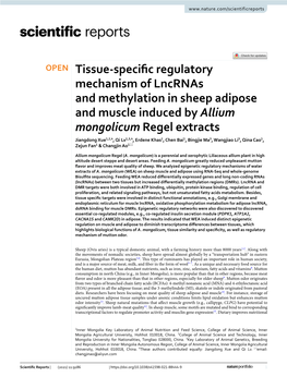 Tissue-Specific Regulatory Mechanism of Lncrnas and Methylation In
