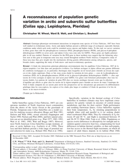 A Reconnaissance of Population Genetic Variation in Arctic and Subarctic Sulfur Butterflies (Colias Spp.; Lepidoptera, Pieridae)