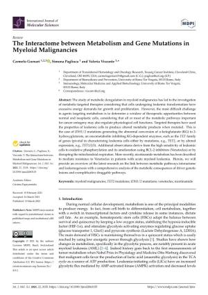 The Interactome Between Metabolism and Gene Mutations in Myeloid Malignancies